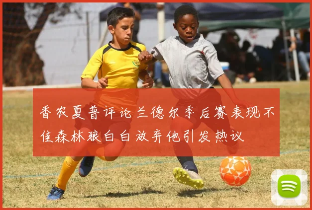 香农夏普评论兰德尔季后赛表现不佳森林狼白白放弃他引发热议